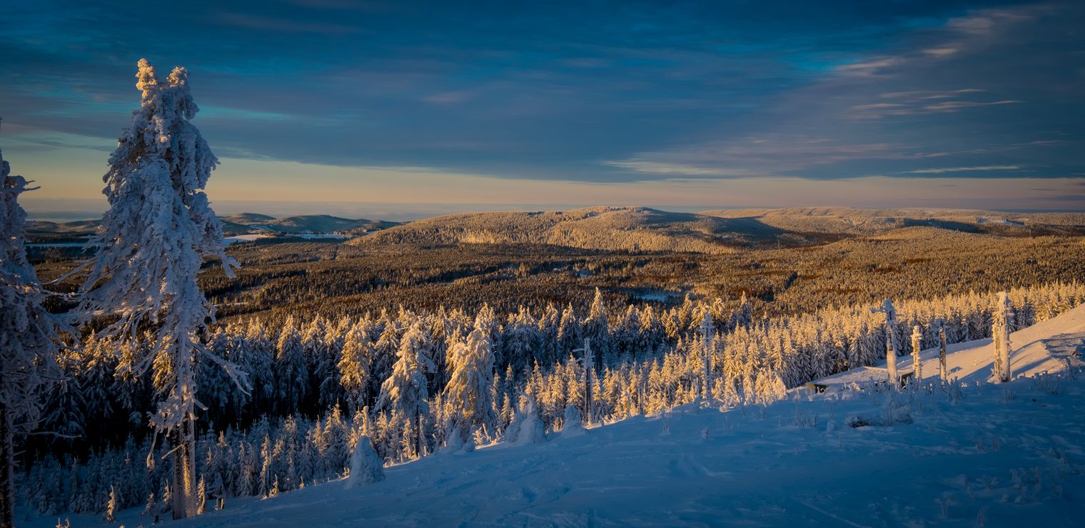 Die Natur im Harz im Winter