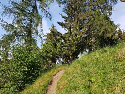 Wanderweg zur Ruine Königsburg