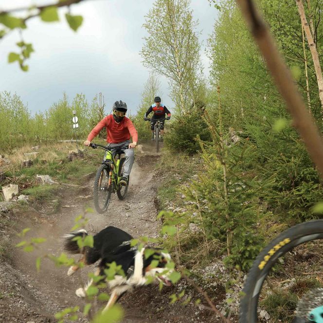 Trailpark Harz in Ilsenburg