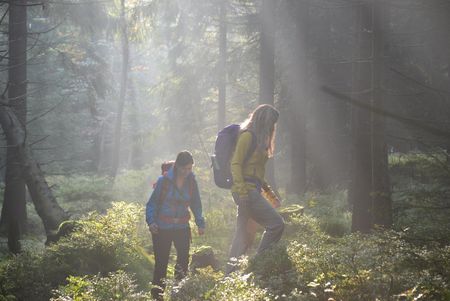 Wandern am Harzer-Hexen-Stieg