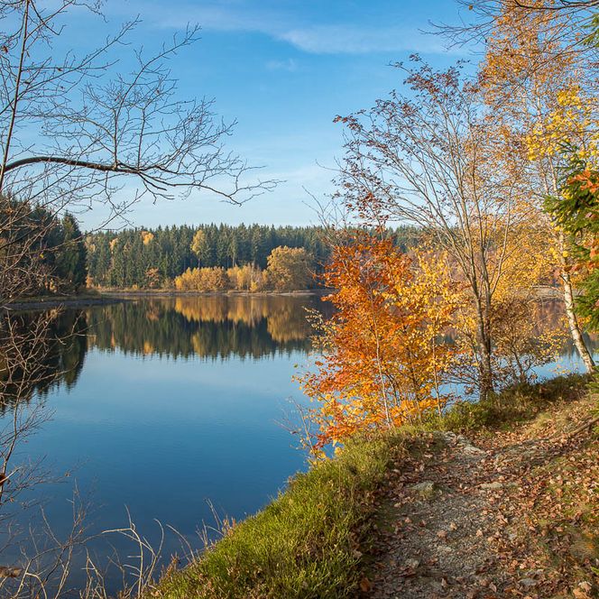 Outdoor-Fotokurse im Harz - stimmungsvoller Herbst