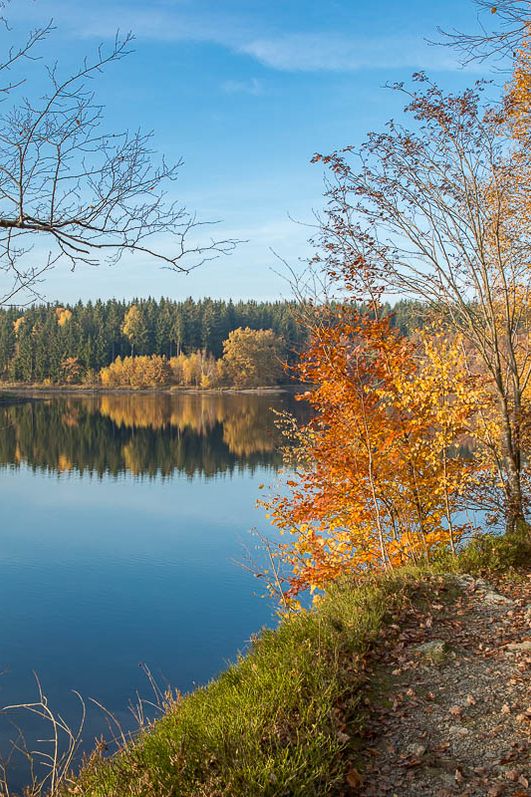Outdoor-Fotokurse im Harz - stimmungsvoller Herbst