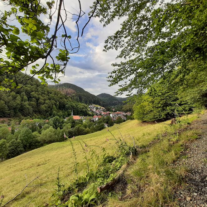 Harz Hotel Iris in Herzberg OT Sieber - Blick auf Sieber