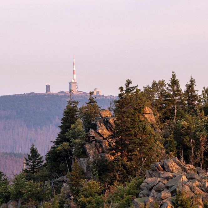 Blick auf den Brocken und Hohnekamm