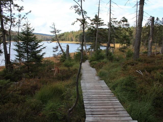 Erlebnisführung Harz - Holzsteg am Oderteich