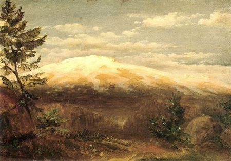  Torfhausmoor, Helbig