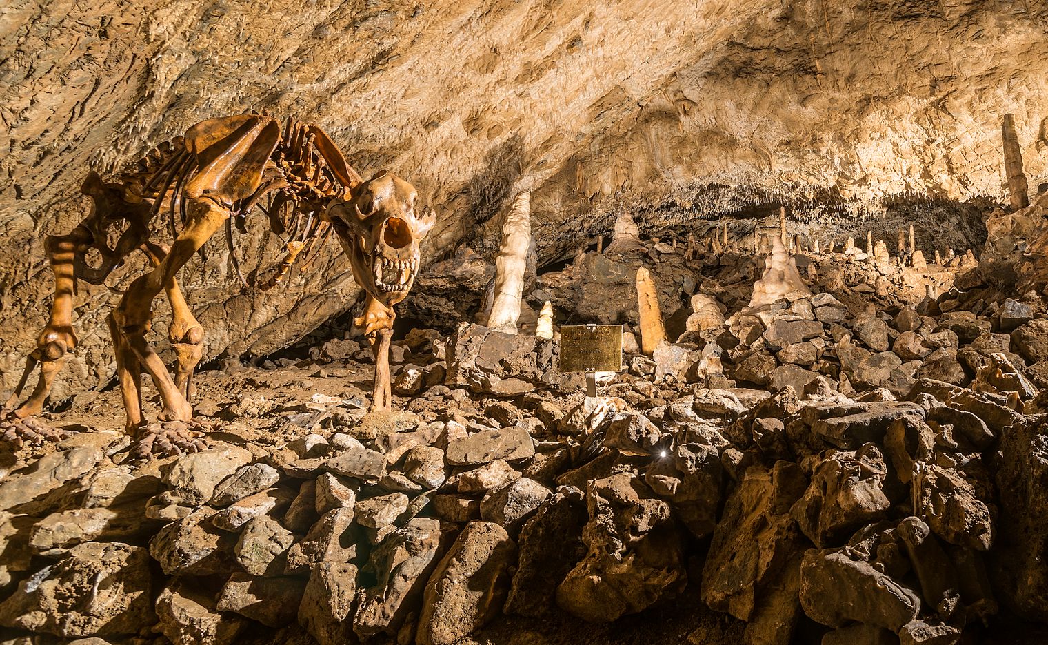 Baumannshöhle_Bärenskelett @Jan Reichel