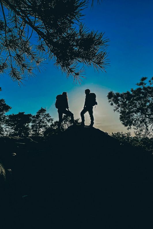 Die Wanderei - auf dem Gipfel