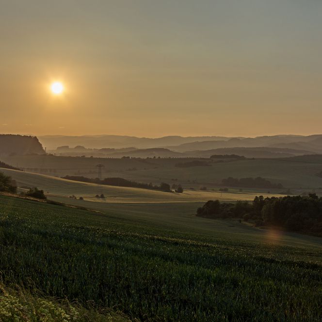 Naturpark Südharz im Morgenlicht: sanfte grüne Hügel, goldenes Sonnenlicht und ruhige Landschaft.