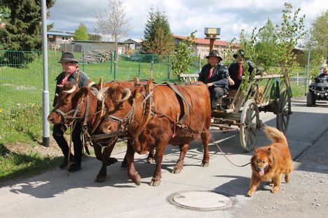 Festumzug beim Tanner Kuhball