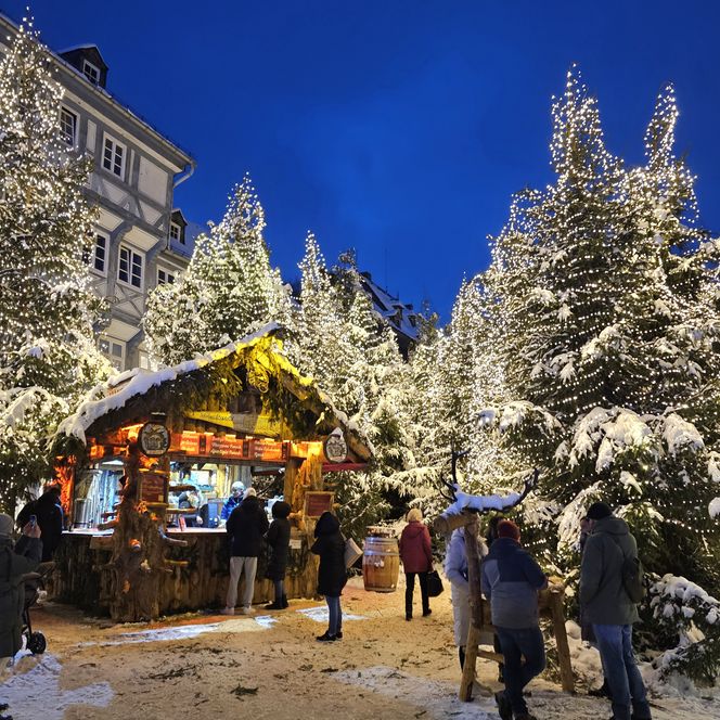 Goslarer Weihnachtswald