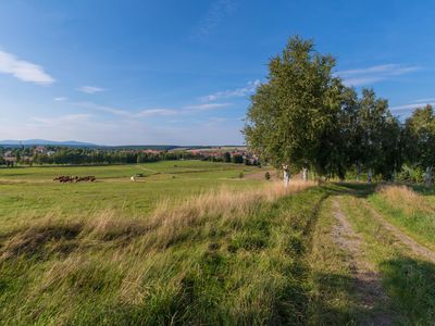 Bergwiesen Hasselfelde