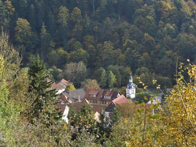 Blick auf den Ort Neuwerk