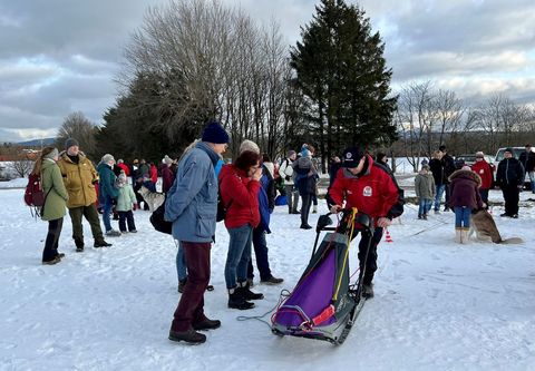 Schlittenhunde Alternativprogramm