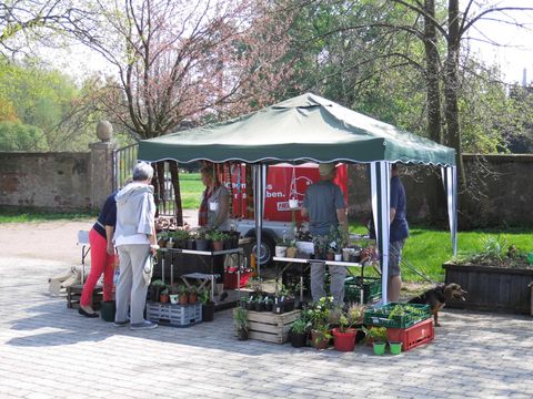 Kauf- und Tauschbörse im Landschaftspark Degenershausen