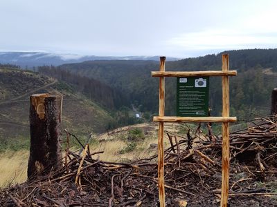 Fotospot an der Jungfernklippe in der Blochschleife