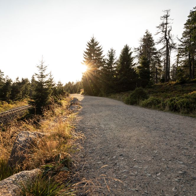 Weg auf den Brocken