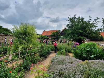 Die Kinder entdecken den Klostergarten Drübeck