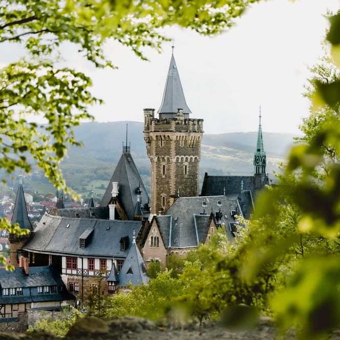 Schloss Wernigerode Agnesberg