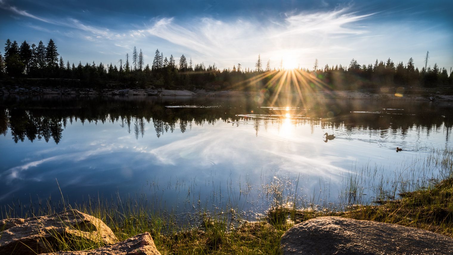 Oderteich Sommerfotografie (c) CellaPix