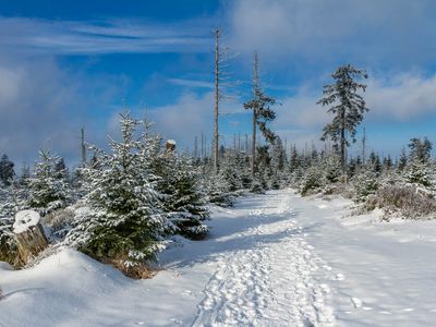 Winter Fotowanderung im Oberharz