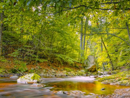 Fotokurs im Ilsetal mit CellaPix