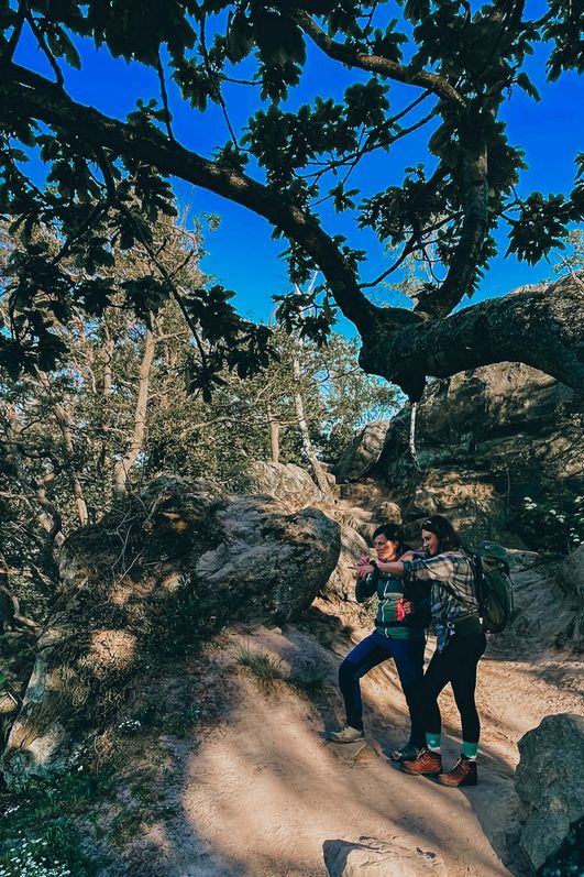 Die Wanderei - an der Teufelsmauer