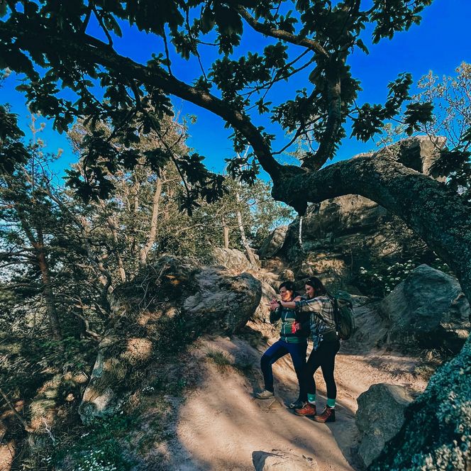 Die Wanderei - an der Teufelsmauer