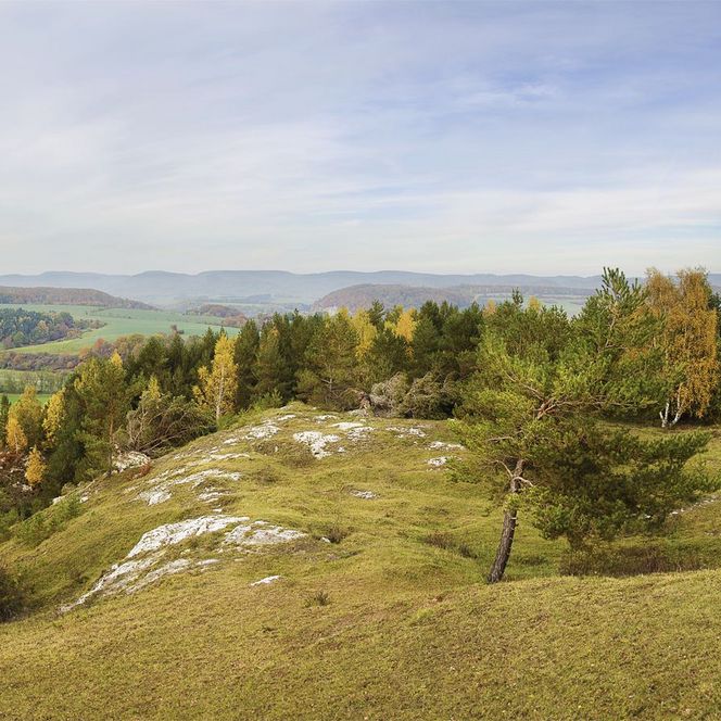 Hörninger Sattelköpfe im Herbst