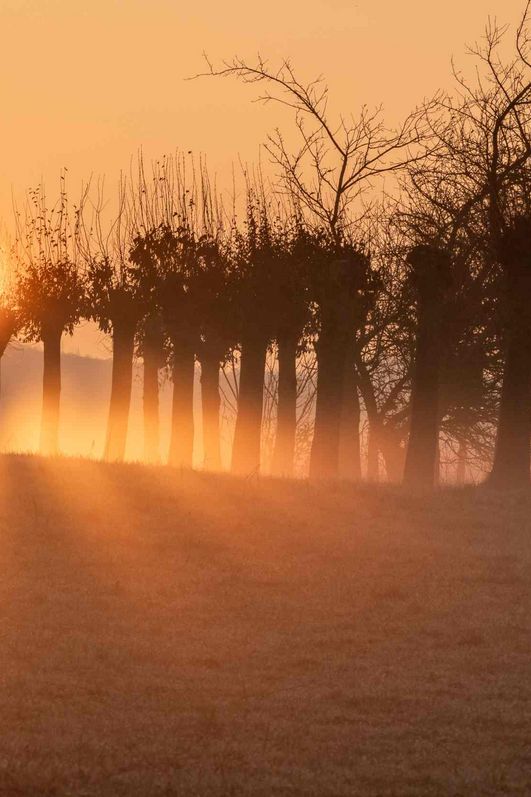 cellapix - Sonnenaufgang im Harz