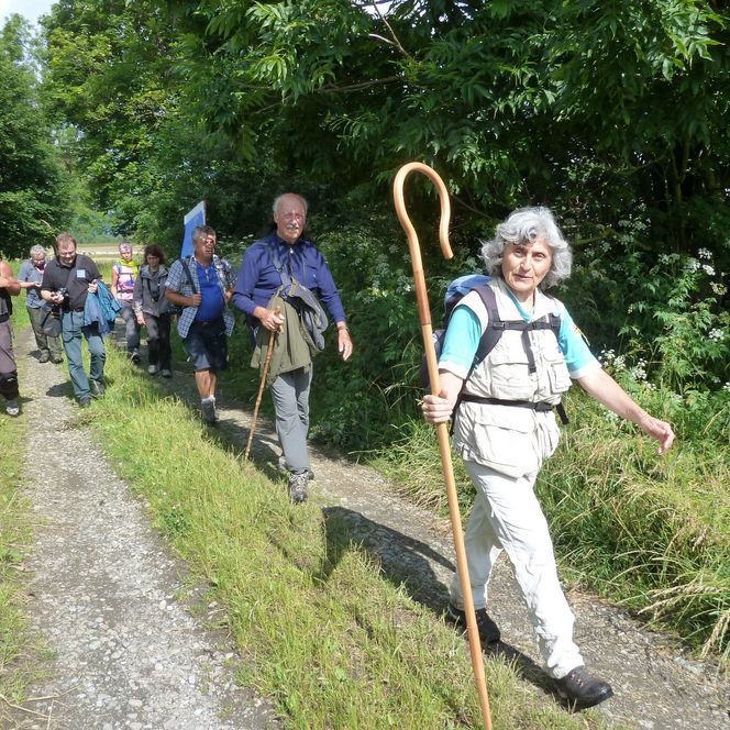 Pilgergruppe mit Pilgerstab auf dem Via Romea