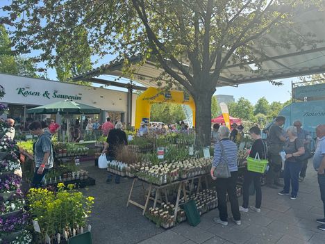 Saisoneröffnung im Europa-Rosarium Sangerhausen