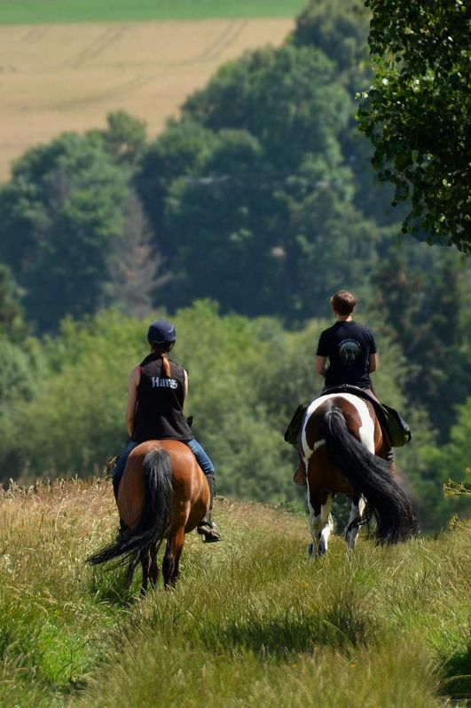 Wanderreiten im Harz - Hasselfelde - Heimweg