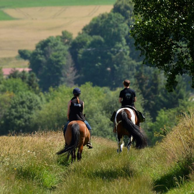 Wanderreiten im Harz - Hasselfelde - Heimweg