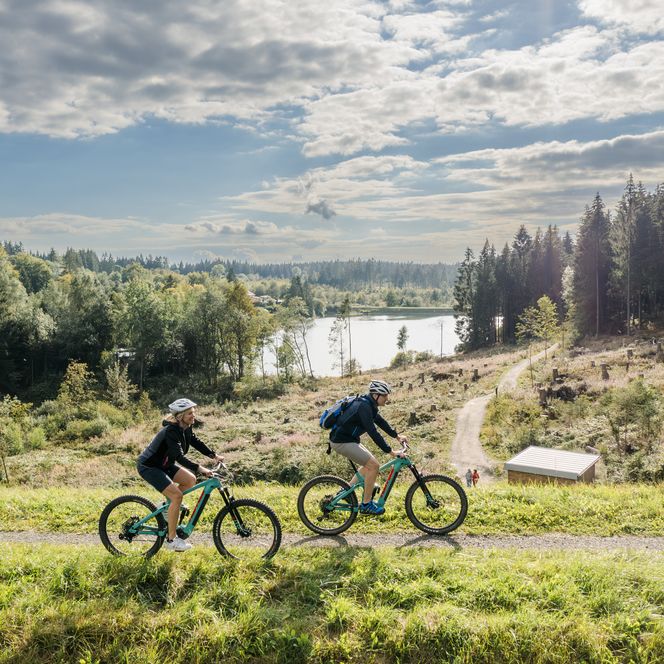 Mountainbike-Ausflug im Oberharz - Hahnenklee