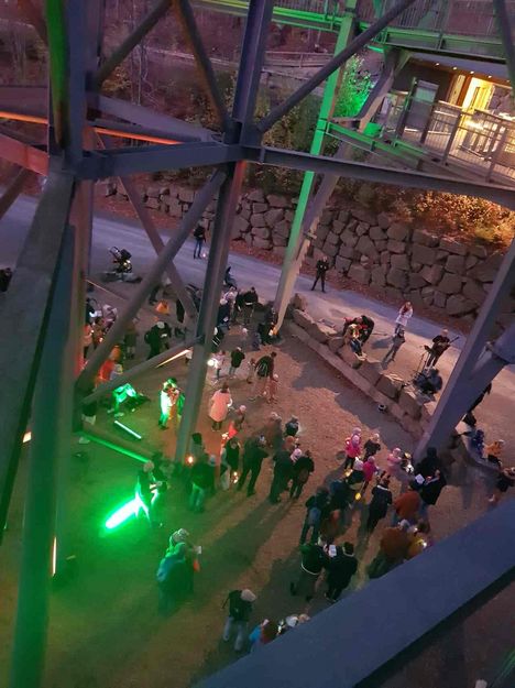 Martinsumzug im Baumwipfelpfad