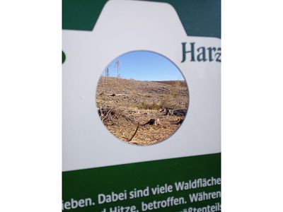 Fotospot auf der Pflanzfläche Plessenburg