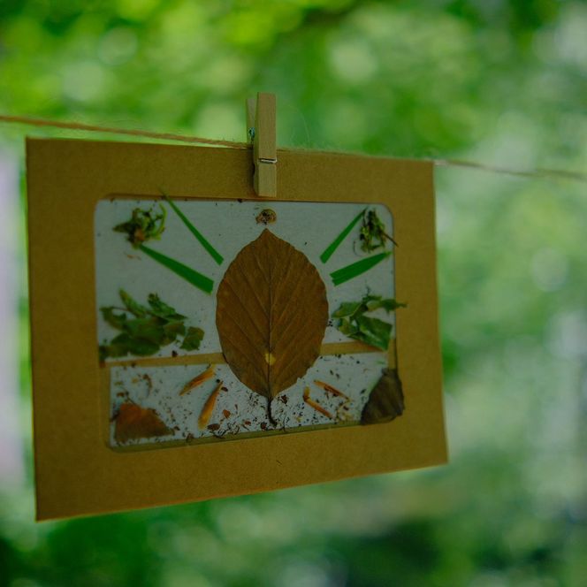 farnfunken - Wildkräuter-Goodie