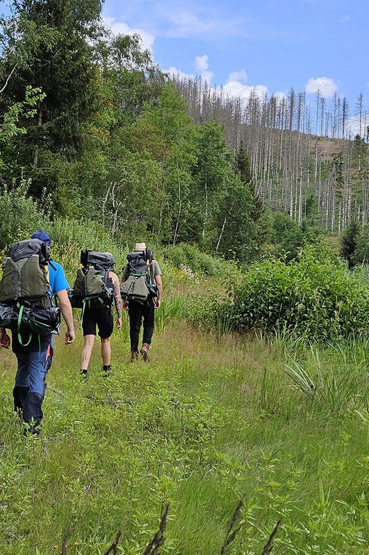 rafts on trails - Wanderer an der Okertalsperre