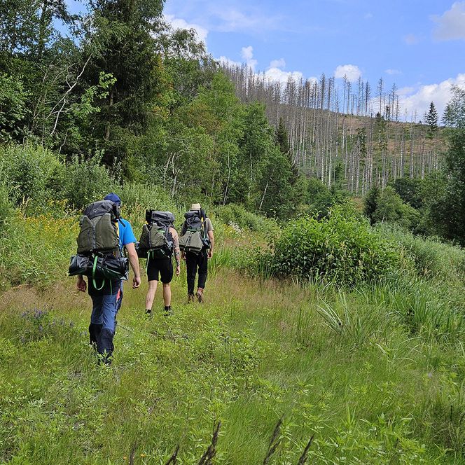 rafts on trails - Wanderer an der Okertalsperre