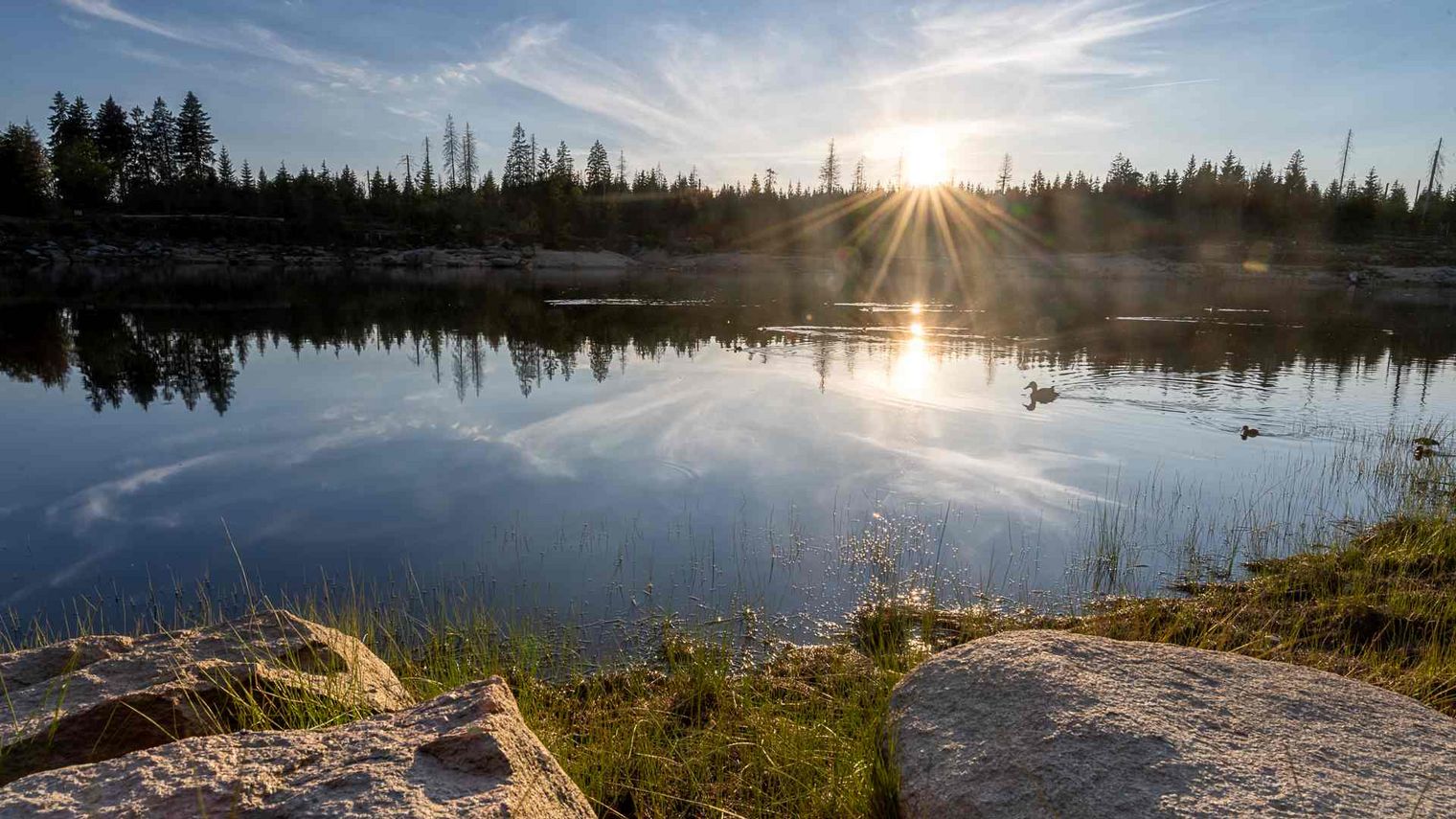 Sonnenaufgang am Oderteich