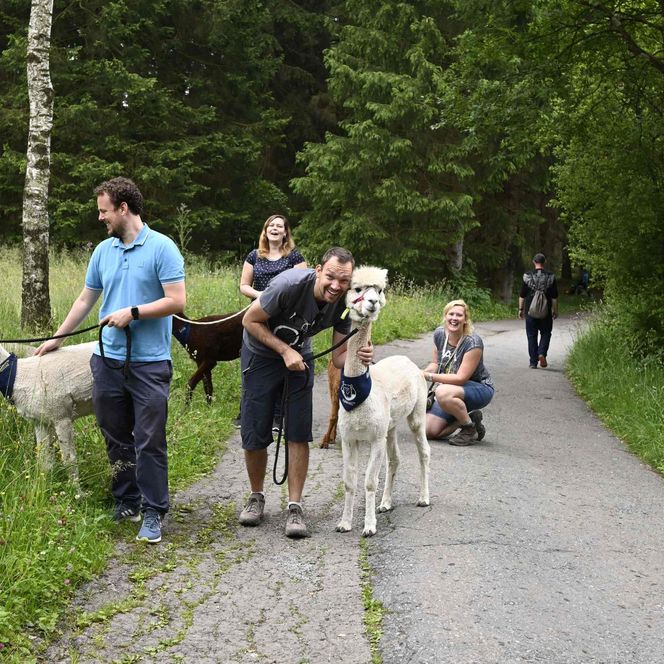 AlpakHarz Braunlage - Wanderung mit Alpakas