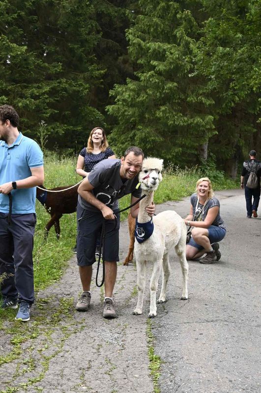 AlpakHarz Braunlage - Wanderung mit Alpakas