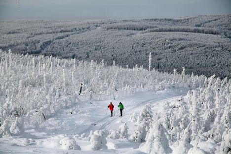 Langlauf in Braunlage