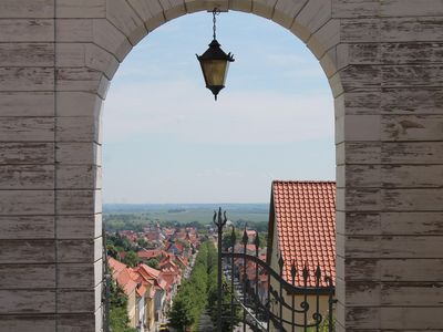 Das Bild zeigt einen Torbogen mit Aussicht auf eine Allee im Hintergrund. 