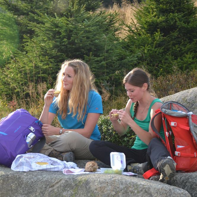 Picknick am Goetheweg