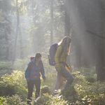 Wandern am Harzer-Hexen-Stieg durch den Wald