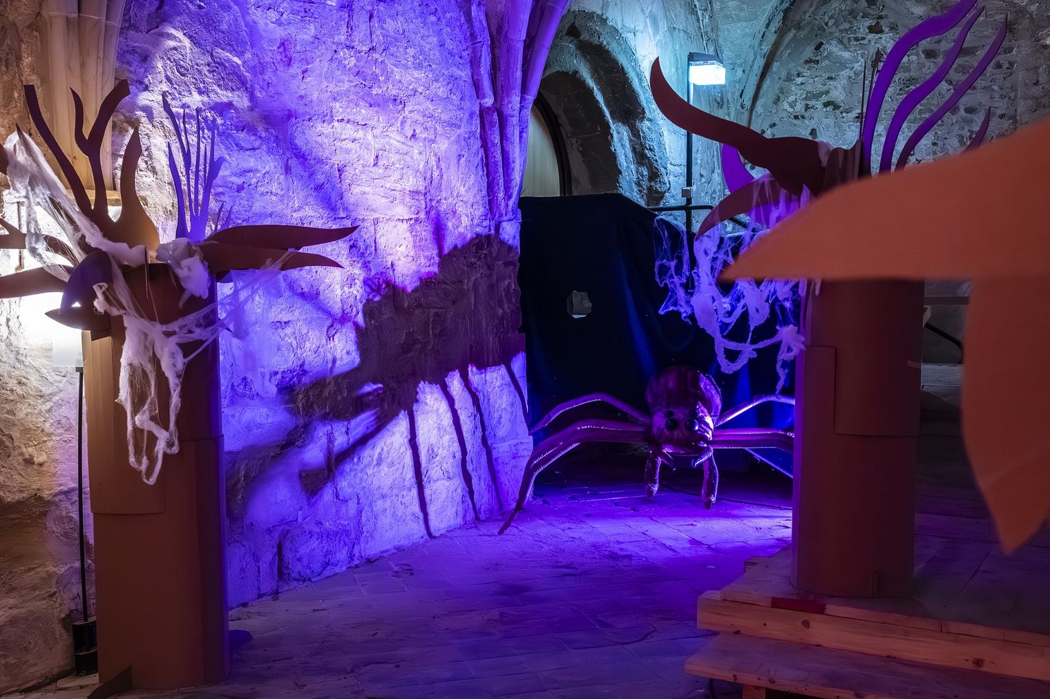 Hogwarts Kloster Michaelstein (c) Ulrich Schrader
