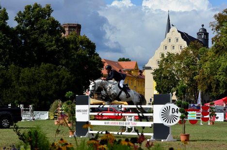 Ascania Pferdefestival