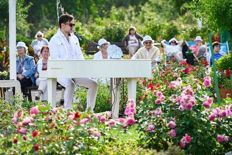 Picknick Konzert in Weiß